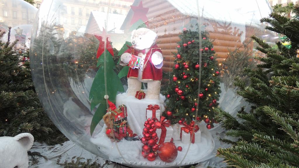 2023 12 19 TOULON AVANT NOEL (51).JPG -           